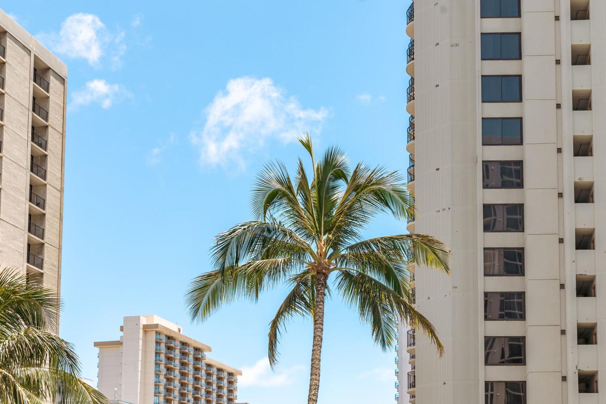 Beautiful 1Br, Steps To Waikiki Beach And Parking Honolulu Exterior photo